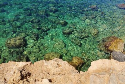Palma de Mallorca: Small Group Tour by Locals in Hidden Coves - Stop 1: Fortín Militar de Bendinat (a quick peek with real stories)
