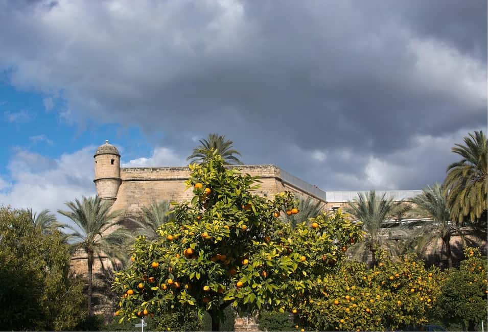 Palma de Mallorca: Walking Tour, Cathedral & Local Tasting - The cathedral finale: fast-track entry to La Seu (and what to watch for)