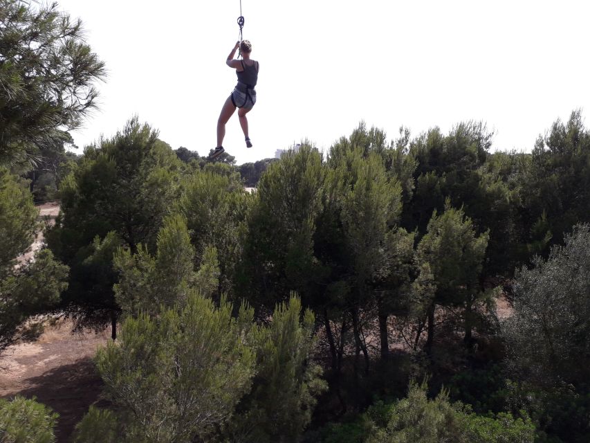 Palma: Family or Sports Course Adventure at Forestal Park - Who This Is For: Families, Groups, and Adrenaline-Skeptics