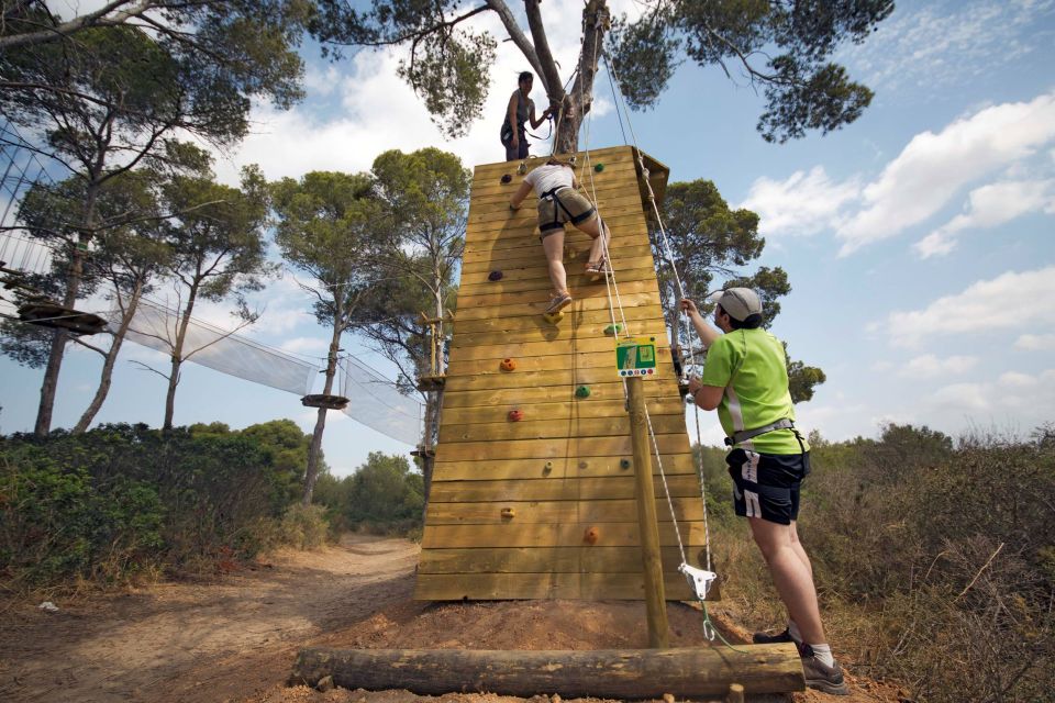 Palma: Family or Sports Course Adventure at Forestal Park - Entering Forestal Park Mallorca in Palma: The Easy Setup That Matters