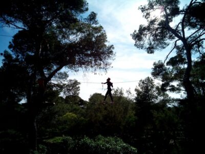 Palma: Family or Sports Course Adventure at Forestal Park - Safety and Confidence: Harness Rules That Keep the Fun Going
