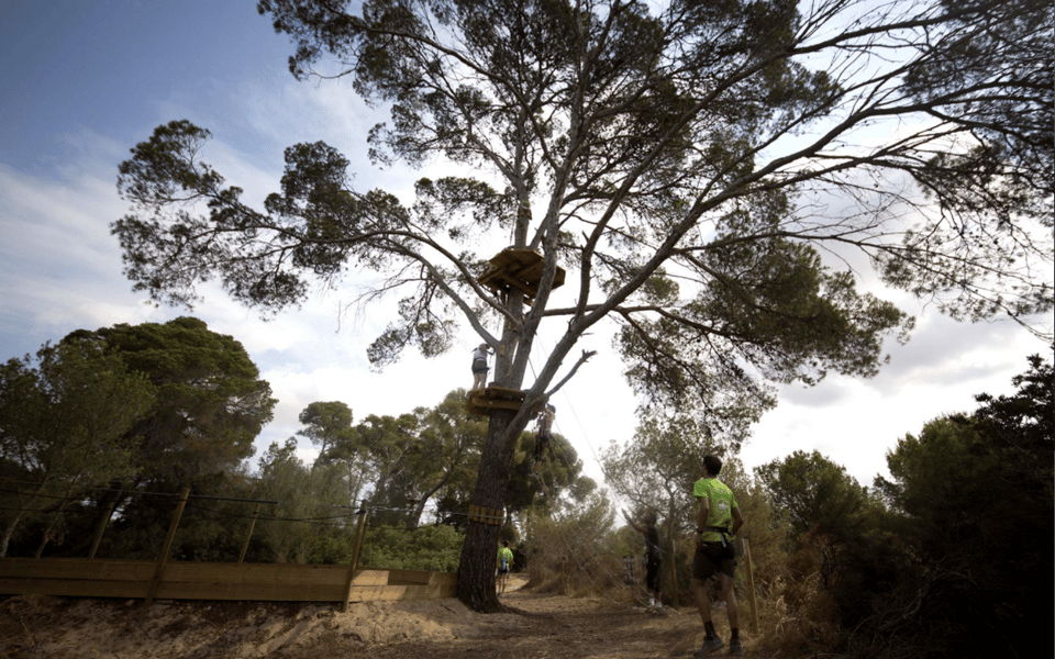 Palma: Family or Sports Course Adventure at Forestal Park - Sport Course (1.45 m and Up): More Crossings, More Height, a Tarzan Swing