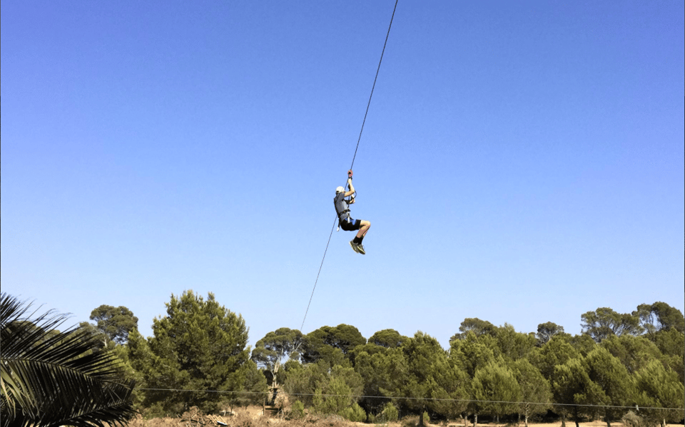 Palma: Family or Sports Course Adventure at Forestal Park - The Big Moments: Tibetan Bridges, Climb Walls, and the Long 200+ Meter Zip