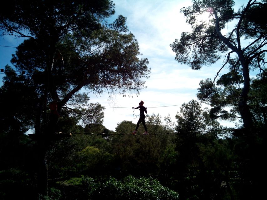 Palma: Family or Sports Course Adventure at Forestal Park - Safety and Confidence: Harness Rules That Keep the Fun Going