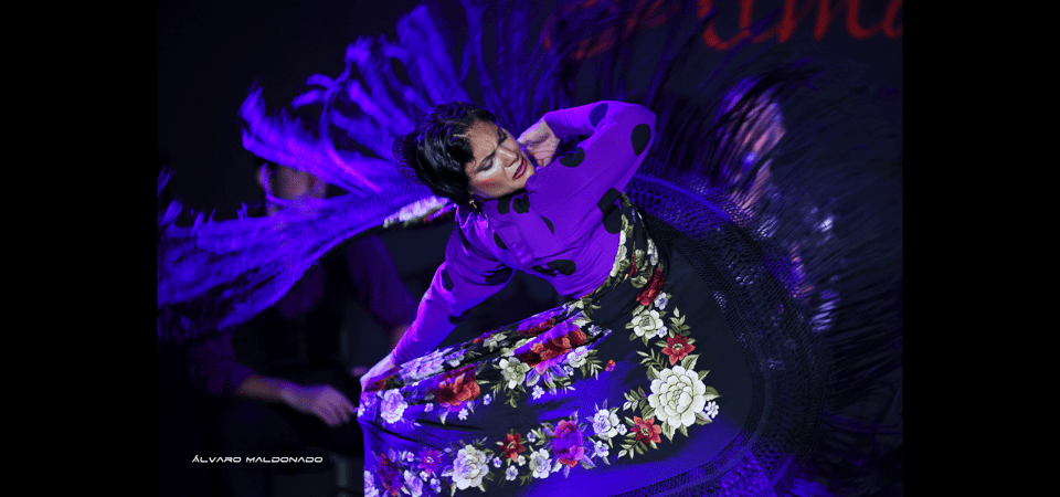 Palma: Flamenco Show at Tablao Flamenco Alma with Drink - The performers: guitar, song, and dance in sync