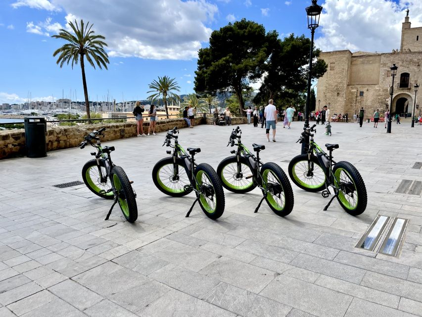 Palma: Guided City Tour with a Fat Tire E-Bike - Portixol: Water, Cafés, and the Local Rhythm