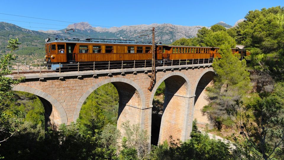 Palma: Tramuntana Full-Day Tour with Sóller Train and Lunch - Port de Sóller by tram option: sea views and a car-free promenade