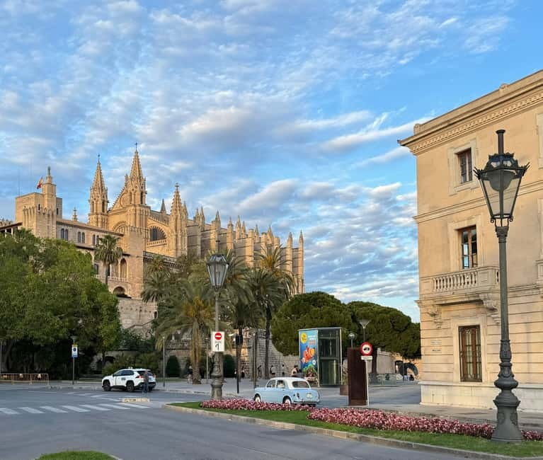 Palma, up close and personal, away from the crowds - Markets and Local Atmosphere: Getting a Feel for Palma Beyond Sightseeing