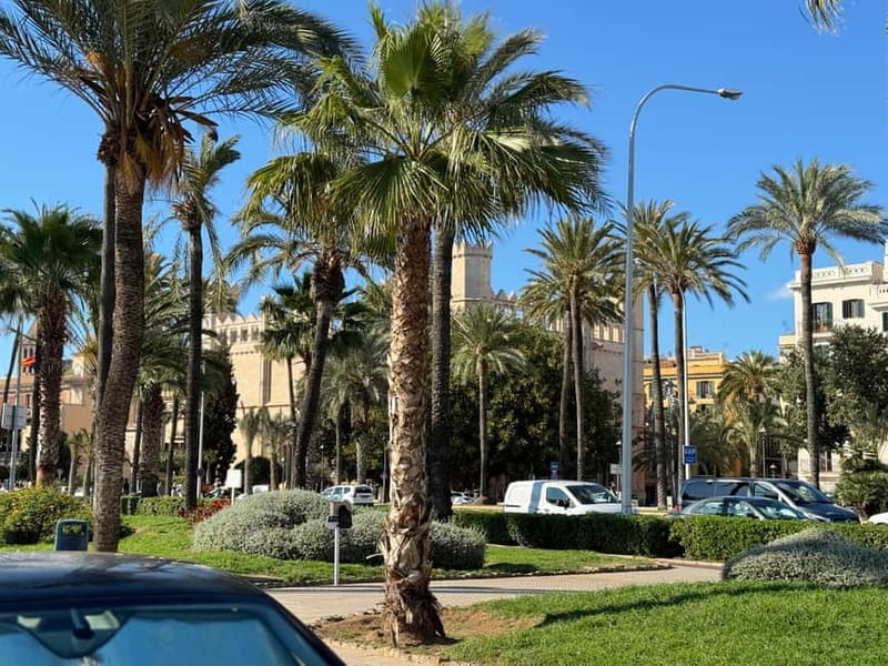 Palma, up close and personal, away from the crowds - Itinerary Reality: How 100 Minutes Typically Plays Out