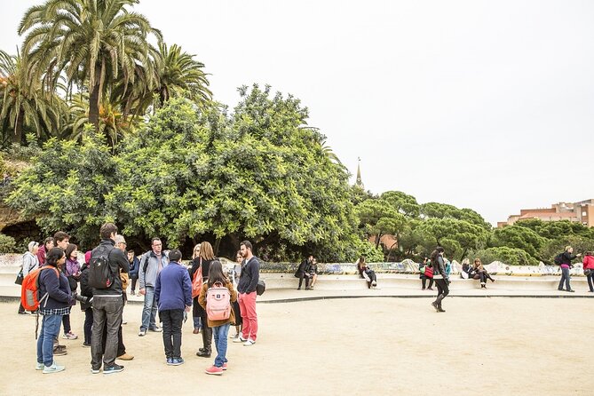 Park Guell Guided Tour with Skip the line Ticket - What to wear and how to plan your walk