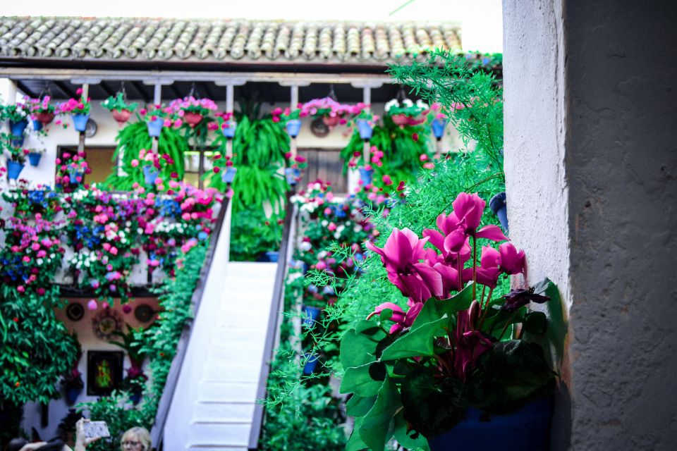 Patios of Cordoba Walking Tour - Key things to know before you go