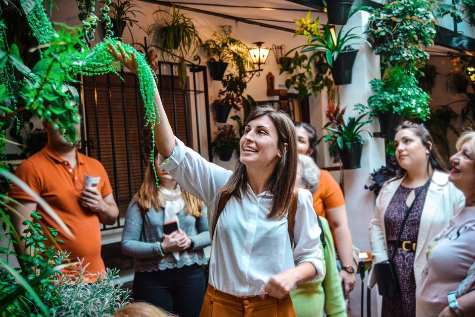 Patios of Cordoba Walking Tour - How the Battle of the Flowers shapes what you see