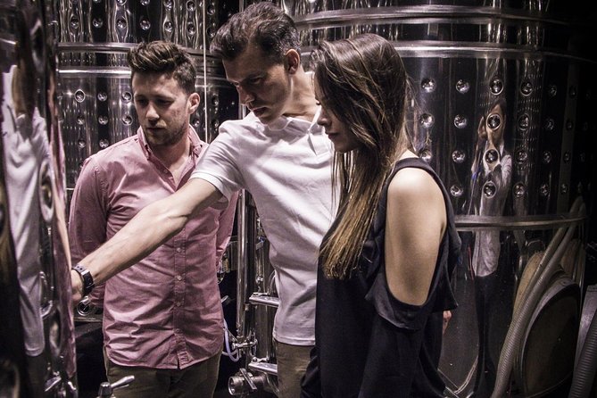 Penedes Wine & Cava Tasting & 4WD Vineyards Tour from Barcelona - Price and value: is $145.17 a fair deal?