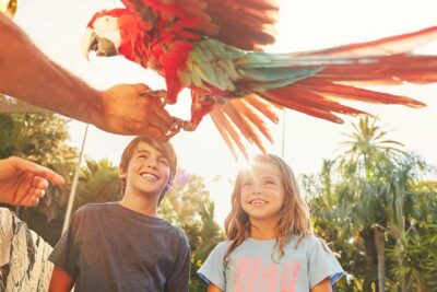 PortAventura Park Day Trip from Barcelona - Shows, parade moments, and breaks that keep the day fun