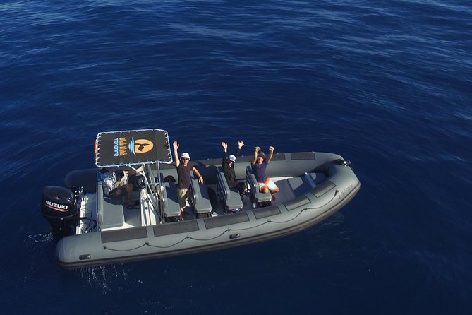 Private 2 hour Whale Watching Tour - Key Things That Make This Whale Tour Worth It