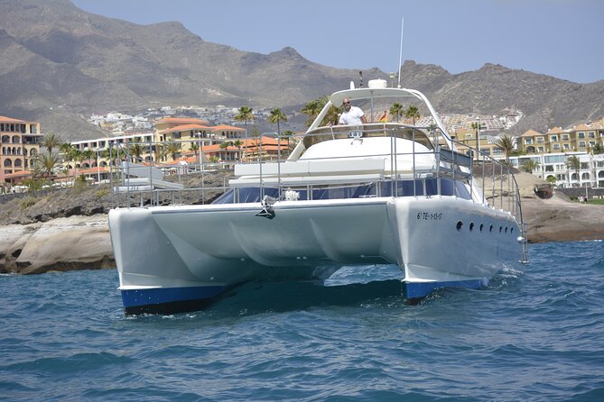 Private Catamaran Charter with Transfer, Buffet and Snorkeling - Getting to Puerto Colón: Meeting Point and Pickup Radius