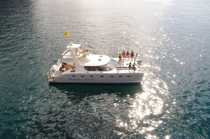 Private Catamaran Charter with Transfer, Buffet and Snorkeling - Whales, Dolphins, and Sea Turtles: How the Day Really Works