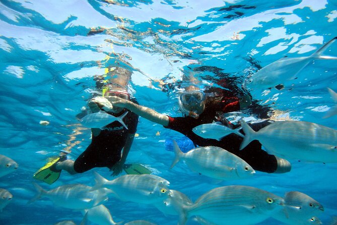 Private Catamaran trips to Lobos Island in Lagoon 400 - Corralejo food and lunch options: bring your own or go à la carte