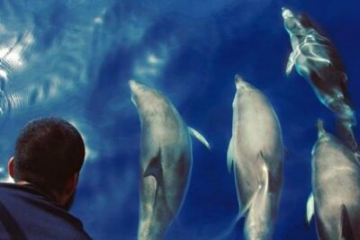 Private Charter in Tenerife south max 7 people - Playa del Puertito Stop: The Calm Water Break You Came For