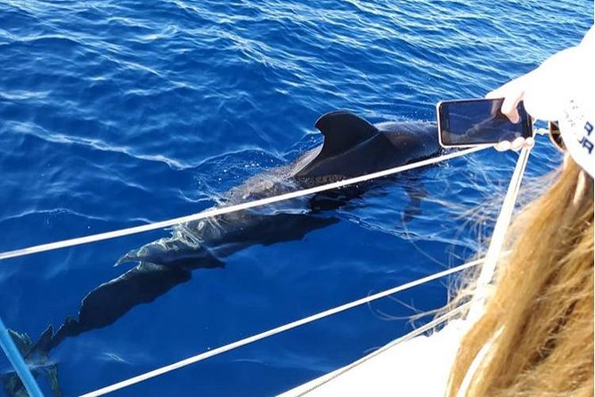Private Charter in Tenerife south max 7 people - Price, Value, and Booking Timing for 7-Person Charters