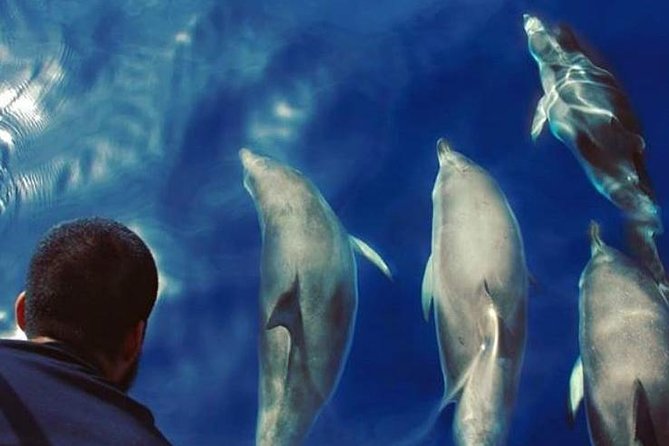 Private Charter in Tenerife south max 7 people - Playa del Puertito Stop: The Calm Water Break You Came For