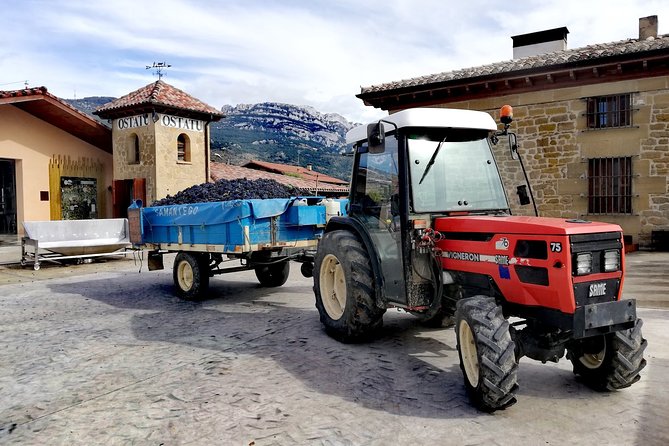 Private Day in Rioja from San Sebastian - Lunch in Labastida: A Relaxed Meal That Feels Like It Belongs