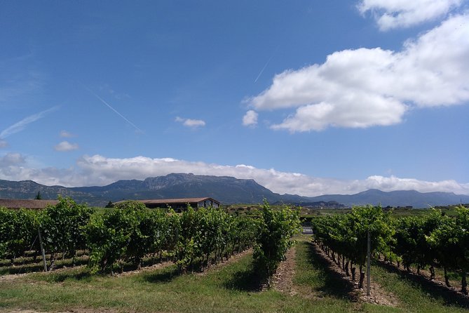 Private Day in Rioja from San Sebastian - Who This Tour Is Best For (And Who Might Want a Different Day)