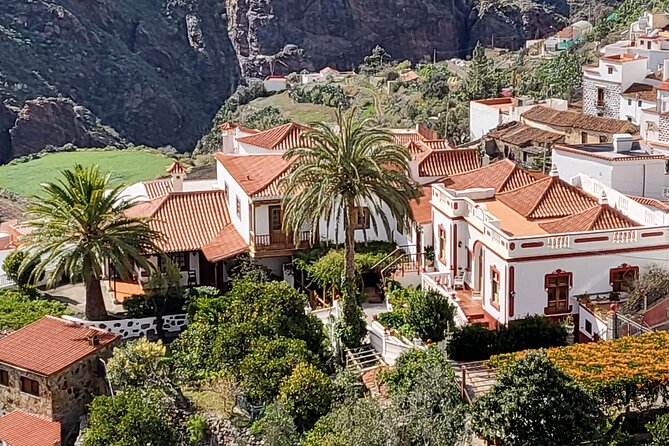 Private Excursion The mountains of Gran Canaria for 2 to 4 people - Fabien as the Driver-Guide: More Than Just Driving