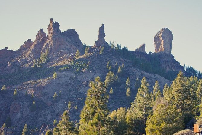 Private Excursion The mountains of Gran Canaria for 2 to 4 people - Fataga Village Walk: White Houses, Narrow Streets, and Palms