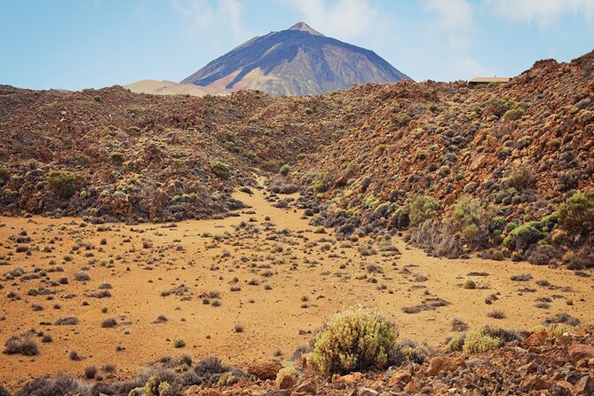 Private excursion to Teide National Park - What the 5–6 hours look like in real life