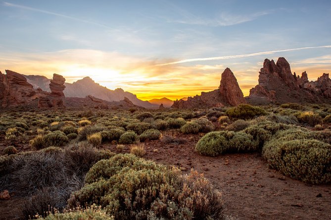 Private excursion to Teide National Park - Price and value: what $118.52 per person buys you