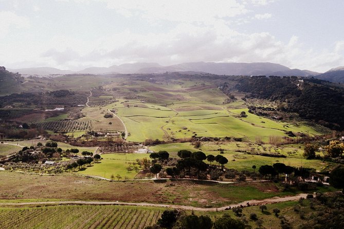 Private Guided Day Trip to the White Villages and Ronda from Seville - The Guides Make or Break the Day (Peter, David, Roberto, Jose, and More)