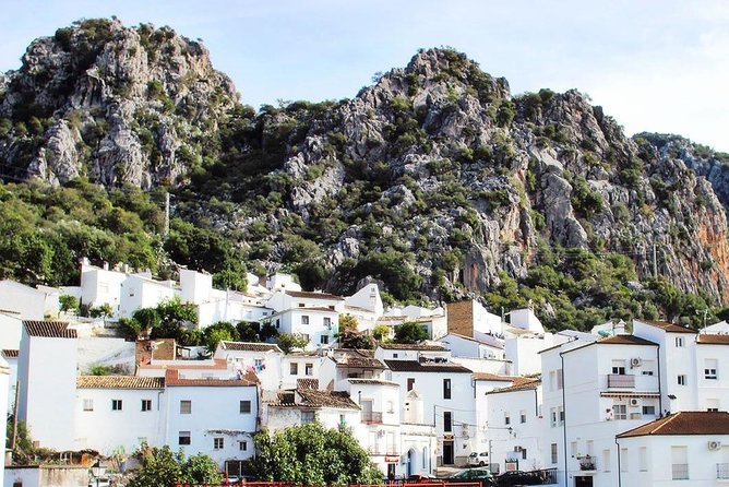 Private Guided Day Trip to the White Villages and Ronda from Seville - How to Pace a Full 8–10 Hour White Villages Day