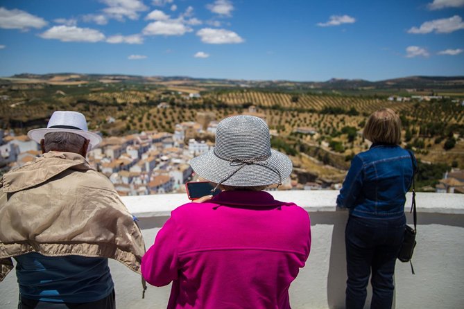 Private Guided Day Trip to the White Villages and Ronda from Seville - Zahara de la Sierra: White-Walled Charm With Guided Time (and Included Admission)