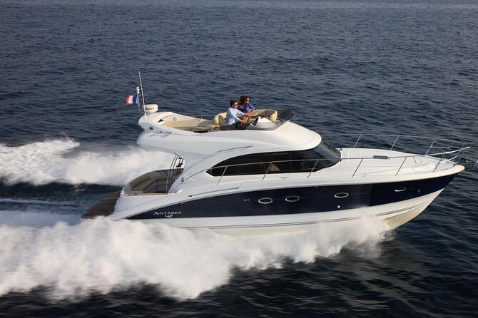 Private Luxury Motor Boat 2, 3 and 4 Hour Charters - Wildlife spotting around Tenerife: what you can reasonably expect