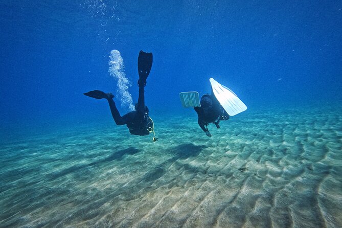 Private Scuba Diving in Tenerife – Certified Instructor & Photos - Who it suits best (and who should skip it)
