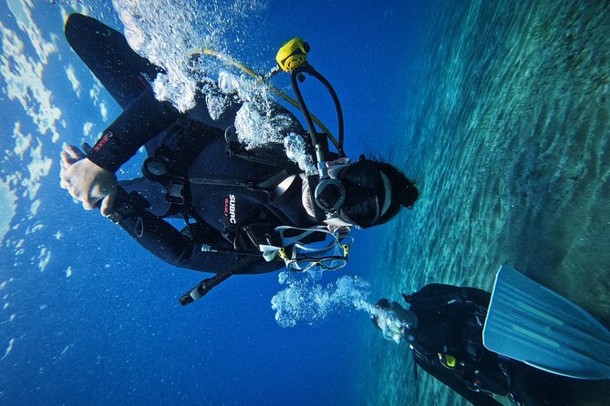 Private Scuba Diving in Tenerife – Certified Instructor & Photos - Practical tips so your day runs smoothly