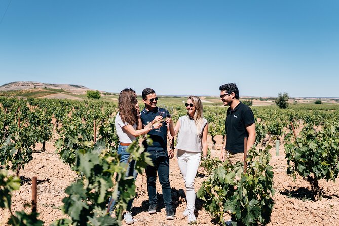 Private Segovia & Ribera del Duero with Wine Tasting from Madrid - What You’re Really Buying: A Guided Day with Two Very Different Moods