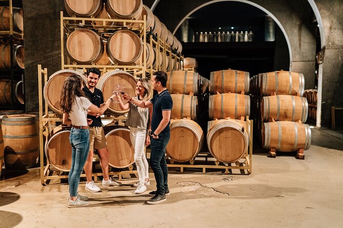 Private Segovia & Ribera del Duero with Wine Tasting from Madrid - Price and Logistics: Is $1,021.92 Good Value?
