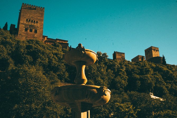 Private Tour to The Alhambra with Nasrid Palaces in Granada - Price and value: is $169.38 per person fair?