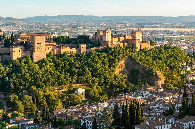 Private Tours Alhambra : Tickets & Tour Guide & Skip-the-Line - Meeting point and real-world timing near Restaurante La Mimbre