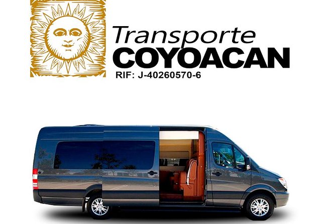 Private Transfer Madrid Barajas Airport to Madrid in Vans up to 7 Passengers - Waiting time at the airport: helpful, but not unlimited