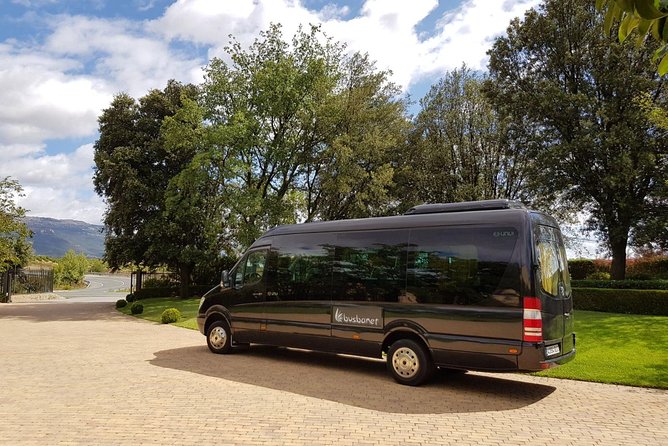 Private Transfer Madrid Barajas Airport to Madrid in Vans up to 7 Passengers - Potential snags to plan for (so you don’t get stuck)