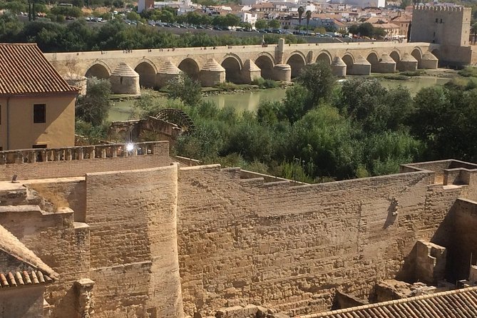 Private Visit Mosque-Cathedral, Jewish quarter, Alcazar and Synagogue - Pickup, meeting points, and how to avoid a stressful start