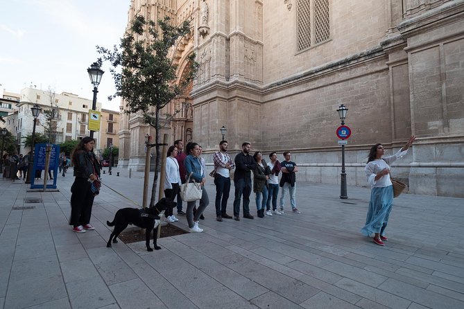Private walking tour in Palma de Mallorca with local guides. - Ca’n Oms and Can Bordils: patio Mallorquín in the real local style