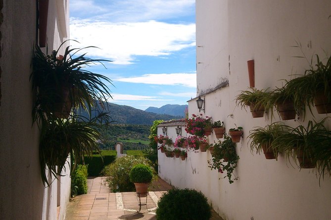 Private White Villages & Ronda Day Tour from Seville - Private pickup from Seville: when “convenient” actually matters