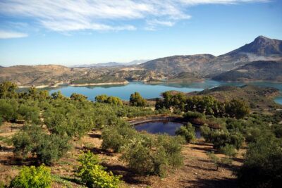 Private White Villages & Ronda Day Tour from Seville - Grazalema Mirador and the griffon vulture backdrop