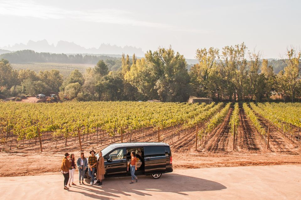 Private Wine, Tapas & Cava Experience from Barcelona - Private Barcelona wine and cava day: what makes it different