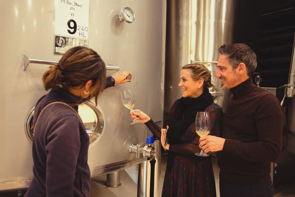 Private Wine, Tapas & Cava Experience from Barcelona - The drive from Barcelona to El Penedès: set expectations for countryside time
