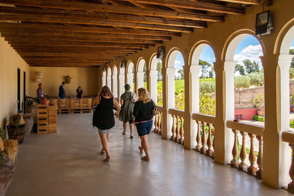 Private Wine, Tapas & Cava Experience from Barcelona - Why the two-winery format works (and when it might not)